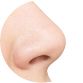 鼻
